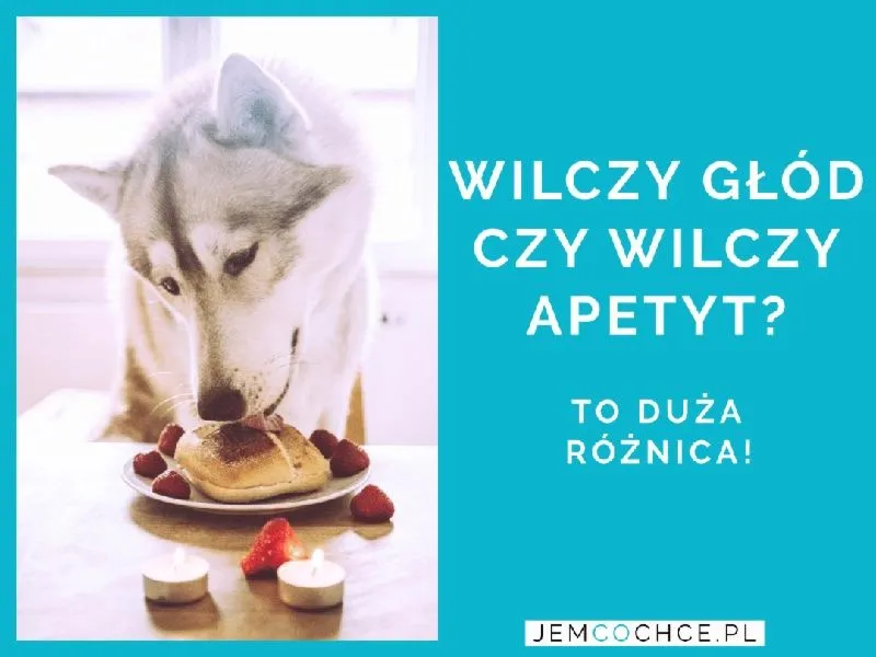 Jak skutecznie zapanować nad wilczym apetytem po treningu?