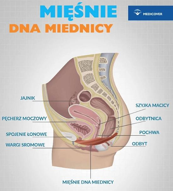 Ćwiczenie mięśni Kegla