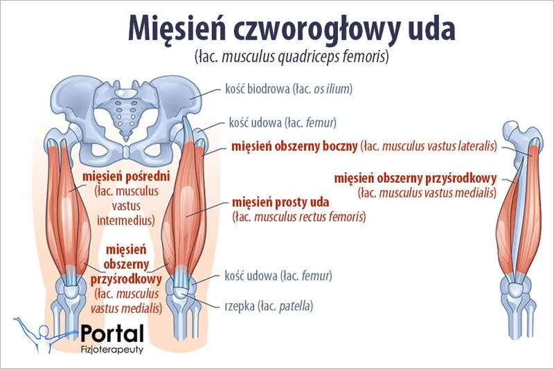 Leczenie naciągniętego mięśnia
