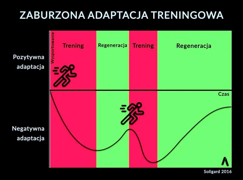 Nawodnienie po treningu
