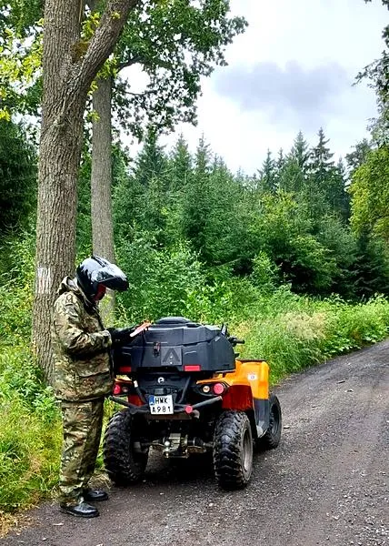 Trening SPLIT dla początkujących