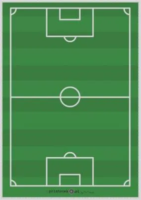 Znaczenie standardów FIFA